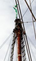 P40556092C1.jpg